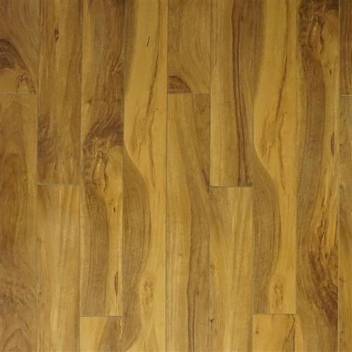 Laminate - In Stock by Don Bailey Flooring - Elite - Moss