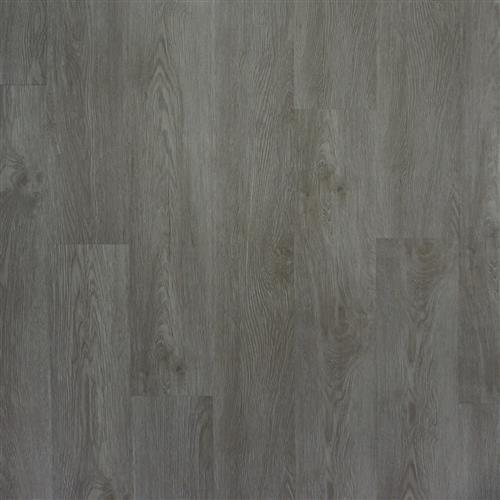 Venetian - Grey Birch