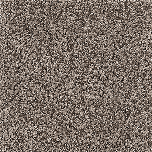 Mohawk Industries Hudson Landing Brown Thrush Carpet Farmington Brown Thrush