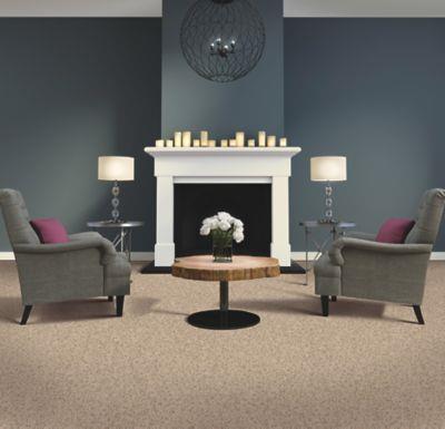 Mohawk Industries Design Elements Ii Classic Taupe Carpet Quincy