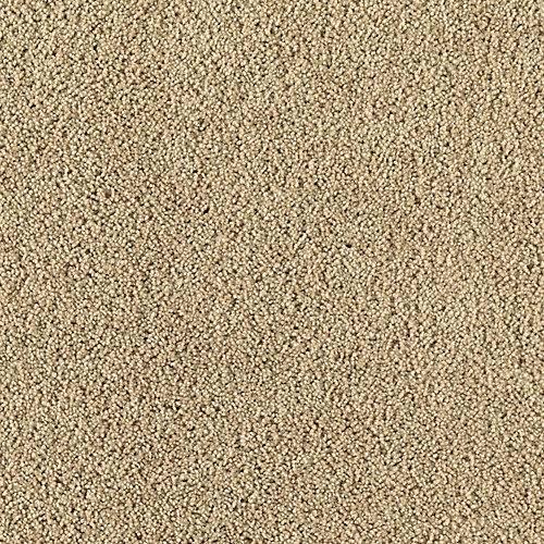 Buckskin