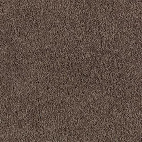 Mohawk Industries Tender Moment Dried Peat Carpet Spokane, WA