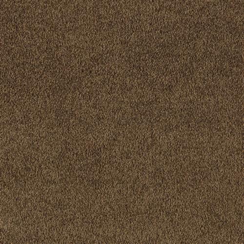 Shaw Industries Agate Street Carpet Flooring Kemp S Dalton Area Rugs Kemp S Dalton West Flooring Newnan Ga