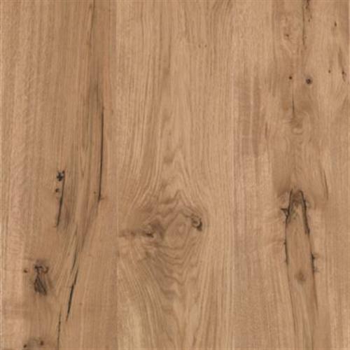 Drawbridge Oak