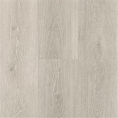 Silver Shadow