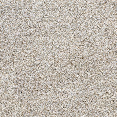 Best Carpet Color For Revere Pewter Carpet Vidalondon