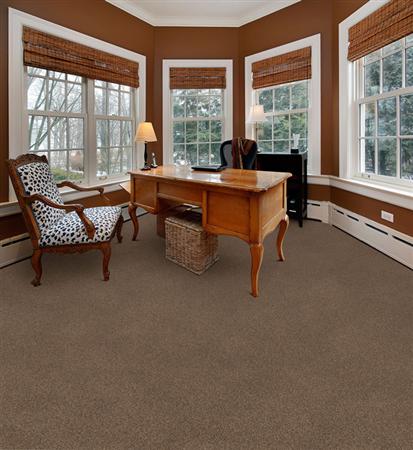 Delight Chestnut 25150