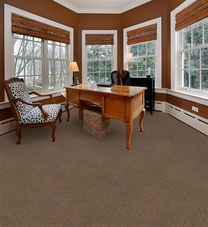 Delight in Yucatan - Carpet by The Dixie Group