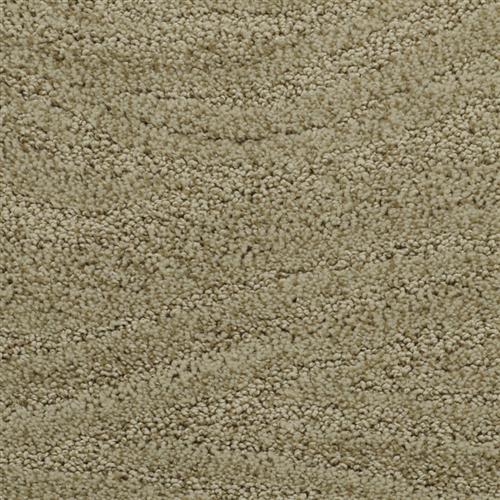 Dixie Home Stainmaster Carpet Reviews