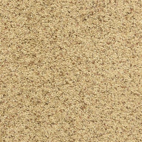 Katie's Comfort by DH Floors - Pepper Spice