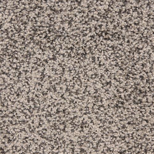 Katie's Comfort by 6.6 Nylon Carpet by Dixie