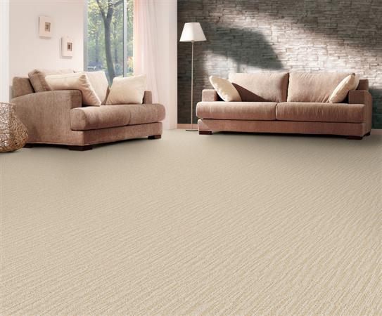 Room Scene of Tranquil Moment - Carpet by The Dixie Group