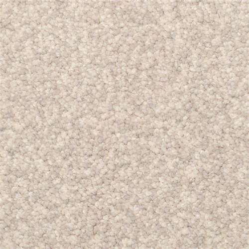 Carpet Cozy Granite 61227 main image