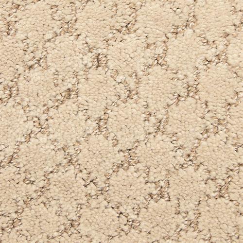 Room Scene of Shell Island - Carpet by The Dixie Group