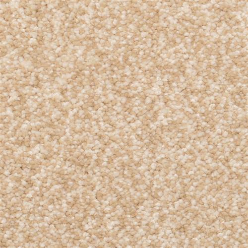 Dorsett Portico 21286