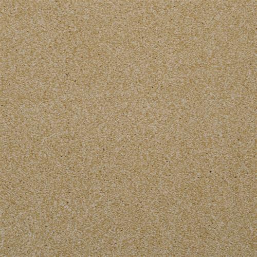 Sand Dune