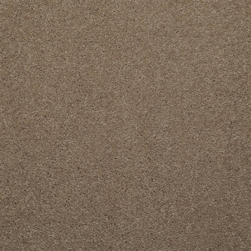 Khaki Tone