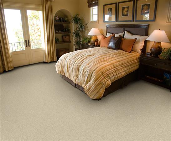 Room Scene of Enthralled - Carpet by The Dixie Group