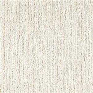 Carpet Advocate D011-13124 Elite