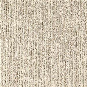 Carpet Advocate D011-23114 Premier