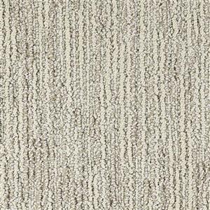 Carpet Advocate D011-33118 TopHonor