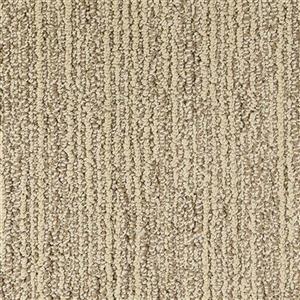 Carpet Advocate D011-33120 Champion