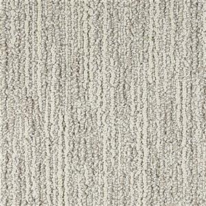 Carpet Advocate D011-83119 SilverMedal