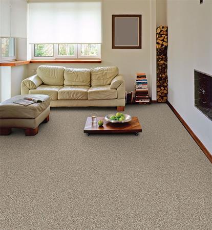 Brilliance in Razzle - Carpet by The Dixie Group