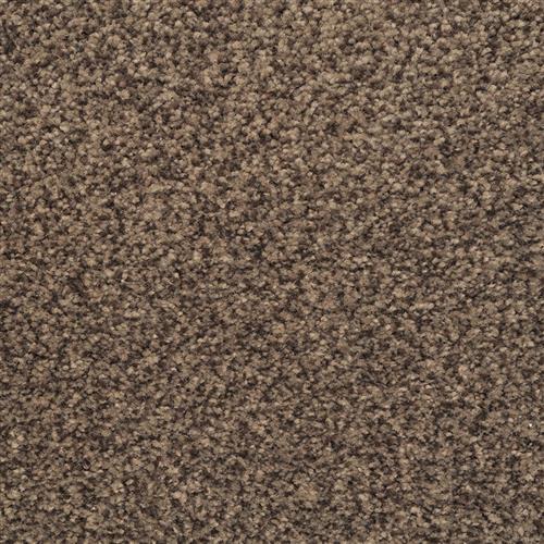Dixie Home Semitones Parchment Carpet - Roswell | Decatur ...