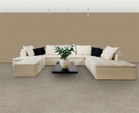 Semitones in Hunt Club - Carpet by The Dixie Group