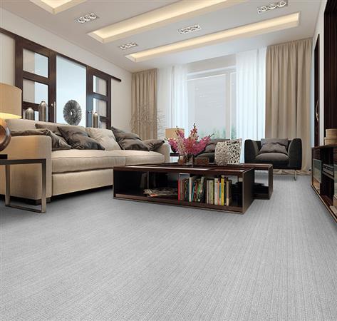 Cypress in Ash - Carpet by The Dixie Group