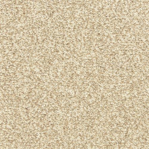 Dawn's Delight by 6.6 Nylon Carpet by Dixie - Boardwalk