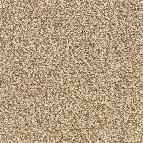 Carpet Features & Benefits, Tempe, AZ