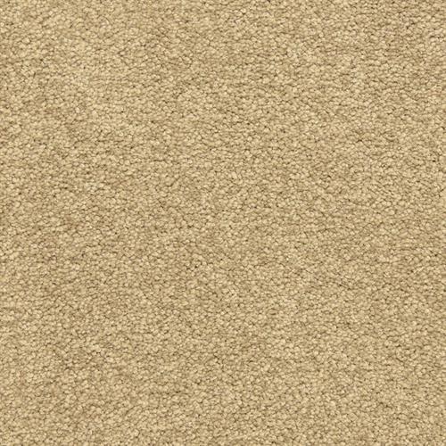 Dawn's Delight by 6.6 Nylon Carpet by Dixie - Sedona