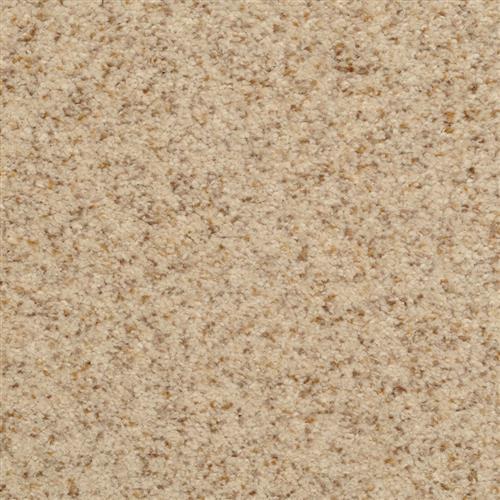 Chromatic Touch Parchment 13221