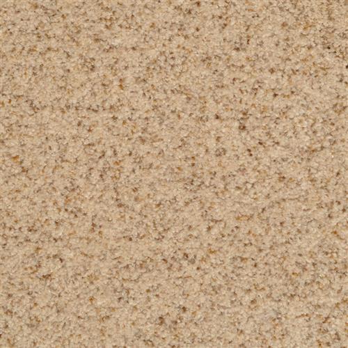 Chromatic Touch Oatmeal 25217