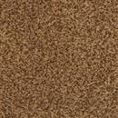 Carpet Chromatic Touch Espresso 79716 thumbnail #1