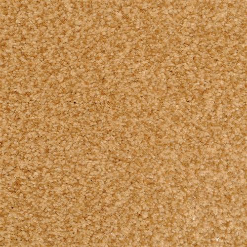 Chromatic Touch Copper 96903