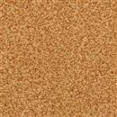Carpet Chromatic Touch Chip 98904 thumbnail #1