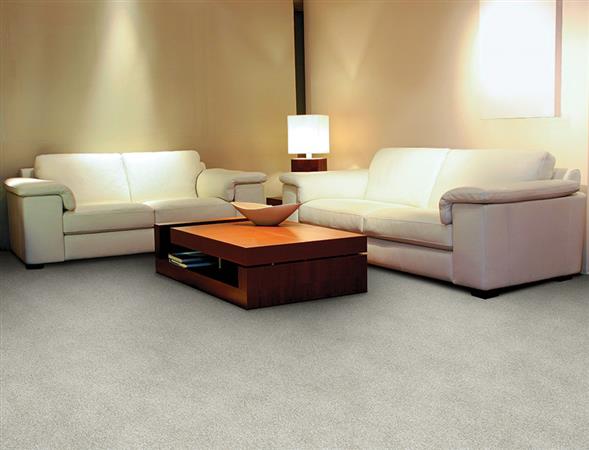Innovations in Espresso - Carpet by The Dixie Group