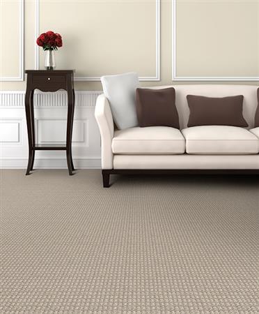 Steadfast in Gobi Tan - Carpet by The Dixie Group