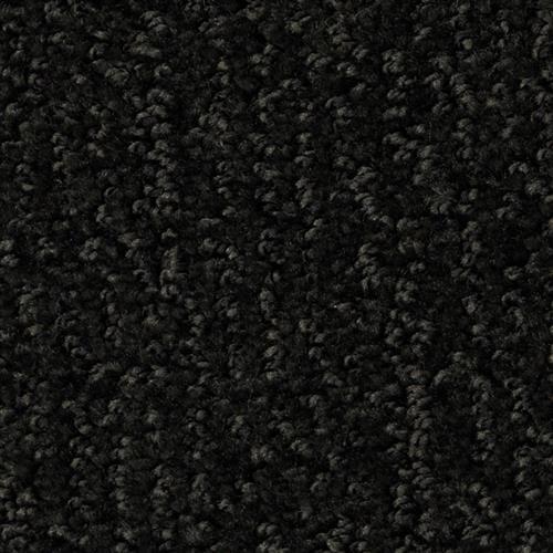 Carpet Cape Cod Onyx 78520 main image