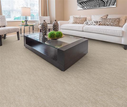 Seagate in Bramble - Carpet by The Dixie Group