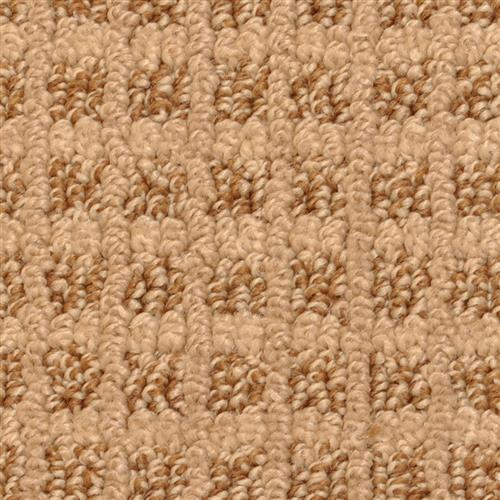 Rock Creek Aztec 37973