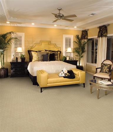 Rock Creek in Moonstone - Carpet by The Dixie Group