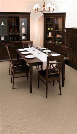 Delano in Desert Pearl - Carpet by The Dixie Group