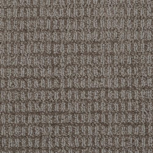 Dixie Home Finesse Stormy Carpet - Greenville, South ...