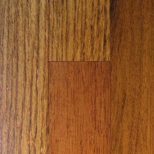 Brazilian Cherry 5"