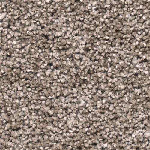 Dream Weaver Broadcast Plus Ash Carpet St Louis St Charles Mo Michaels Carpet Linoleum Inc