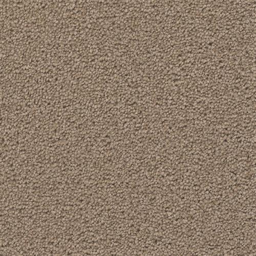 BROADCAST PLUS Balsam 565